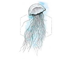 Komar Wandbild Von Jellyfish Watercolor | Poster, Bild, Wohnzimmer, Schlafzimmer, Dekoration, Kunstdruck | ohne Rahmen | P078B-50x70 fotomural, Schwarz, WeiÃ, Blau