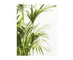 Komar Wandbild Von Reed Leaves | Poster, Bild, Wohnzimmer, Schlafzimmer, Dekoration, Kunstdruck | ohne Rahmen | P062-40x50 fotomural, Verde, Blanco