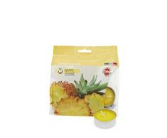 Cereria de Giorgio Concentrado de Vela Tealight perfumadas Alla Frutas, Cera, Amarillo, 3.8Â X 3.8Â X 1.6Â cm, 25Â Unidades