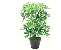 Leaf Planta de Hoja perenne Arboricola Artificial