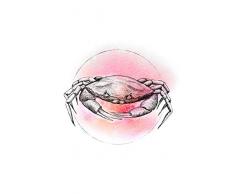 Komar Wandbild Von Crab Watercolor | Poster, Bild, Wohnzimmer, Schlafzimmer, Dekoration, Kunstdruck | ohne Rahmen | P080B-50x70 fotomural, Schwarz, WeiÃ, Rosa