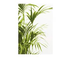 Komar Wandbild Von Reed Leaves | Poster, Bild, Wohnzimmer, Schlafzimmer, Dekoration, Kunstdruck | ohne Rahmen | P062-50x70 fotomural, Verde, Blanco