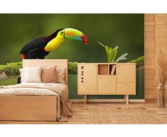 Oedim - Fotomural Vinilo para Pared TucÃ¡n | Fotomural para Paredes | Mural | Fotomural Vinilo Decorativo |350 x 250 cm | DecoraciÃ³n comedores, Salones, Habitaciones