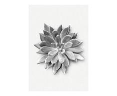 Komar Wandbild Von Succulent Agave | Poster, Bild, Wohnzimmer, Schlafzimmer, Dekoration, Kunstdruck | ohne Rahmen | P049A-50x70 fotomural, Schwarz, WeiÃ, Grau