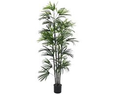 EuropalmsÂ âÂ 150Â cmÂ âÂ Palma De La Mano Seedling de Ventilador, Color Verde