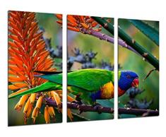 Poster Fotográfico Loro Caribe Exotico, Naturaleza Tamaño total: 97 x 62 cm XXL