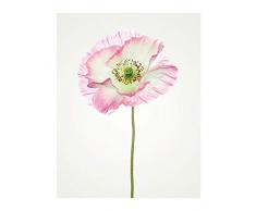 Komar Wandbild Von Poppy | Poster, Bild, Wohnzimmer, Schlafzimmer, Dekoration, Kunstdruck | ohne Rahmen | P069-40x50 fotomural, WeiÃ, Rosa, GrÃ¼n