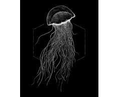 Komar Wandbild Von Jellyfish Black | Poster, Bild, Wohnzimmer, Schlafzimmer, Dekoration, Kunstdruck | ohne Rahmen | P078D-40x50 fotomural, Blanco, Negro