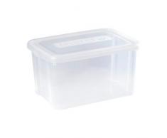 Allibert 193135 Handy Box - Caja de almacenaje con Tapa (50 l, Polipropileno), Transparente