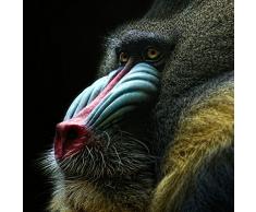 Pro-Art-Bilderpalette Mural fotogrÃ¡fico de Pared, Multicolor