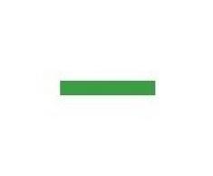 Prym Cinta de raso de 10 mm, color, 100% poliÃ©ster, verde y blanco