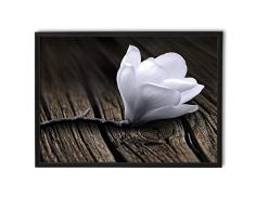 Cuadro en marco, póster moderno, pared artÃstica, varios temas 50 x 70 cm (magnolia blanca)