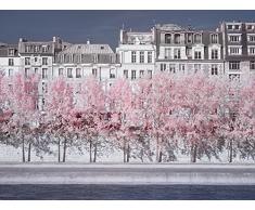 Art Group Impresión sobre Lienzo River Seine Infrared, París, Multicolor, 0.96 x 60 x 3 cm