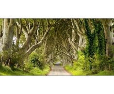 Pro-Art g1661a Sparkling Forest - Lienzo en impresiÃ³n giclÃ©e (30 x 30 cm), diseÃ±o de Bosque, Multicolor, 100 x 50 cm