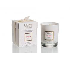Collines de Provence Vela perfumada 250Â G Camelia