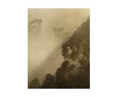 Komar Wandbild Von Golden Light | Poster, Bild, Wohnzimmer, Schlafzimmer, Dekoration, Kunstdruck | ohne Rahmen | PSH100-40x50 fotomural, GrÃ¼n, WeiÃ, Schwarz