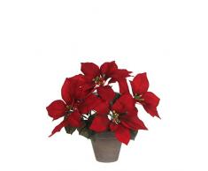 Poinsettia Rojo en Maceta Stan Gris d11,5Â cmÂ -Â H27Â X d35Â cm