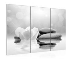 506031c - Cuadro de pared (120 x 80 cm, lienzo XXL, 3 piezas, fabricado en Alemania, listo para colgar), diseÃ±o de tulipanes