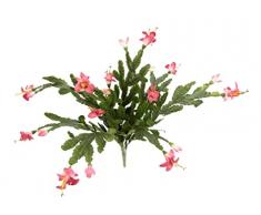 Flair Flower, Hatiora Hybrid Cactus Maceta Colgante con Forma de Campana para Primavera, Cactus Artificiales de Pascua con Flores, Plantas de Interior con Flores Rojas, Flores de Seda, Plantas Verdes