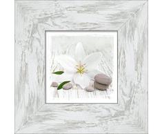 Pro-Art-Bilderpalette Mural fotogrÃ¡fico de Pared, Multicolor