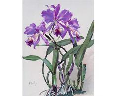 Bailly Cattleya Orchid Flower Watercolor Painting Unframed Wall Art Print Poster Home Decor Premium Flor Agua Pintura pared Pï¿½ster Casa
