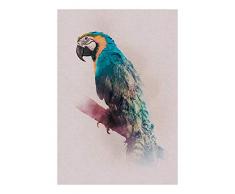 Komar Wandbild Von Animals Paradise Parrot | Poster, Bild, Wohnzimmer, Schlafzimmer, Dekoration, Kunstdruck | ohne Rahmen | P083B-50x70 fotomural, carbÃ³n