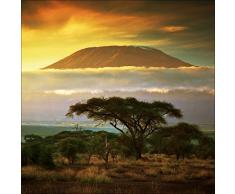 Pro-Art g1672a - Lienzo en impresiÃ³n giclÃ©e (30 x 30 cm), diseÃ±o de Paisaje Africano II, Multicolor, 50 x 50 cm