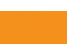 Prym Cinta de raso de 10 mm, color dorado, 100% poliÃ©ster