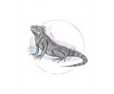 Komar Wandbild Von Iguana Watercolor | Poster, Bild, Wohnzimmer, Schlafzimmer, Dekoration, Kunstdruck | ohne Rahmen | P077B-30x40 fotomural, Schwarz, WeiÃ, Rosa, Blau