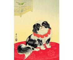 Wee Blue Coo Jaula de perro pekinés de Japón Shoson Ohara