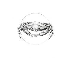 Komar Wandbild Von Crab White | Poster, Bild, Wohnzimmer, Schlafzimmer, Dekoration, Kunstdruck | ohne Rahmen | P080A-40x50 fotomural, Negro, Blanco