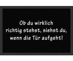 Empire Interactive Felpudo, Polipropileno, Multicolor, 40 x 60 cm