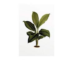 Komar Wandbild Von Elastica Leaf | Poster, Bild, Wohnzimmer, Schlafzimmer, Dekoration, Kunstdruck | ohne Rahmen | P055-50x70 fotomural, GrÃ¼n, WeiÃ, Schwarz, Braun