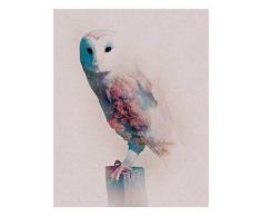 Komar Wandbild Von Animals ForestOwl | Poster, Bild, Wohnzimmer, Schlafzimmer, Dekoration, Kunstdruck | ohne Rahmen | P084A-40x50 fotomural, carbÃ³n