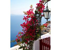 Legendarte Atisbo de Tranquilidad Diaria en el mar Impresión Digital sobre Lienzo, cm. 80x100