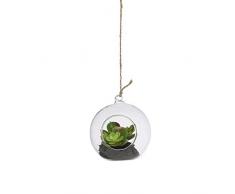 Aufora - Bola de Cristal para Colgar con Planta suculenta Artificial, Verde, 11 cm
