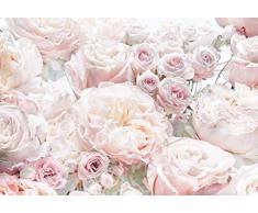 Komar 8-976 Spring - Papel pintado para pared (368 x 254 cm, 8 piezas), diseÃ±o de rosas