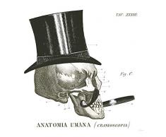 International Graphics WA 21820-3387 - Cuadro decorativo (acrílico, 30 x 30 cm), multicolor