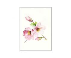 Komar Wandbild Von Magnolia Breathe | Poster, Bild, Wohnzimmer, Schlafzimmer, Dekoration, Kunstdruck | ohne Rahmen | P073A-40x50 fotomural, Rosa, GrÃ¼n, WeiÃ