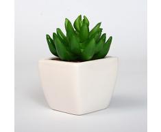 SuperStudio LO+DEMODA Planta Artificial Karnossa
