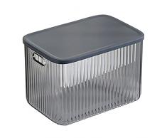 Caja de almacenamiento con tapa azul 16,5