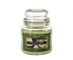 Natur Candle 167093 Coconut&Mint - Vela perfumada (100% Cera Vegetal, 380 g)
