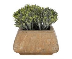 Aufora - Planta Artificial en Maceta Cuadrada rústica, Verde, 12 cm