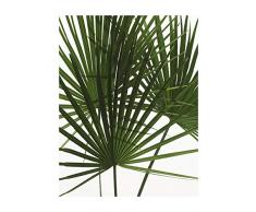 Komar Wandbild Von Palmtree Leaves | Poster, Bild, Wohnzimmer, Schlafzimmer, Dekoration, Kunstdruck | ohne Rahmen | P061-40x50 fotomural, Verde, Blanco