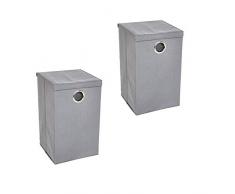 AmazonBasics - Organizador de colada de un cesto con tapa de cierre magnético, Gris, Juego de 2