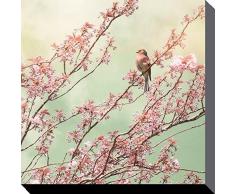 Ros Berryman Chaffinch con Flores Lienzo Prints, poliéster, 40 x 40 cm, Multicolor
