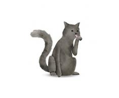 Komar Wandbild Von Cute Animal Cat | Poster, Bild, Wohnzimmer, Schlafzimmer, Dekoration, Kunstdruck | ohne Rahmen | P111K-30x40 fotomural, WeiÃ, Schwarz, Rosa