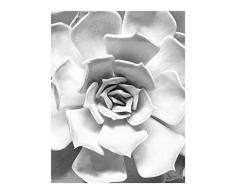 Komar Wandbild Von Succulent Closeup | Poster, Bild, Wohnzimmer, Schlafzimmer, Dekoration, Kunstdruck | ohne Rahmen | P049C-40x50 fotomural, Schwarz, WeiÃ, Grau