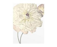 Komar Wandbild Von Illustration Dahlia | Poster, Bild, Wohnzimmer, Schlafzimmer, Dekoration, Kunstdruck | ohne Rahmen | P063-40x50 fotomural, WeiÃ, Lilla, GrÃ¼n