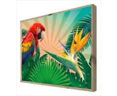 CCRETROILUMINADOS Loro Cuadro con Marco de Madera Retroiluminado, Metacrilato, Multicolor, 60 x 80